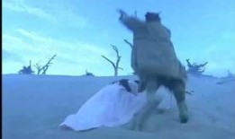 鬼狐电影在线观看