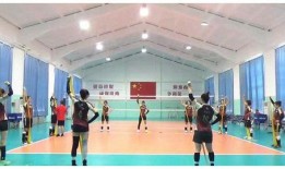 天津女排爆料视频最新,揭秘幕后训练与备战细节